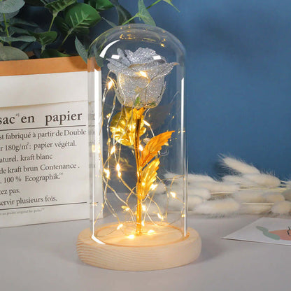 Rose Flowers LED Light in Glass Cover Gift
