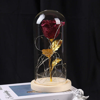 Rose Flowers LED Light in Glass Cover Gift