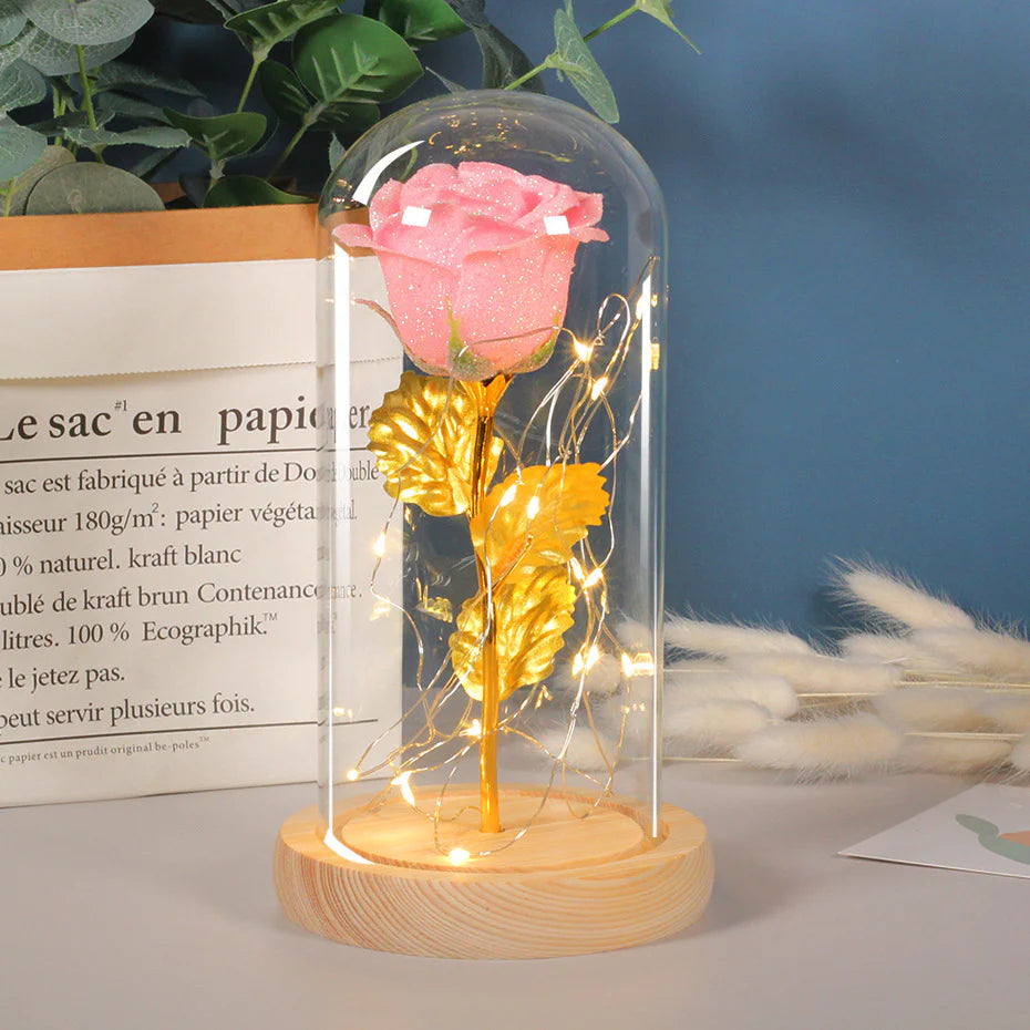 Rose Flowers LED Light in Glass Cover Gift